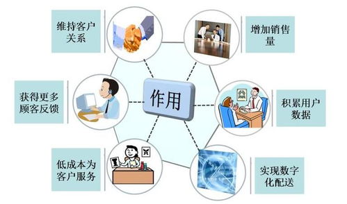 德州信息快排托管公司与外贸网站制作网络服务团队 构建高效网络系统服务新生态